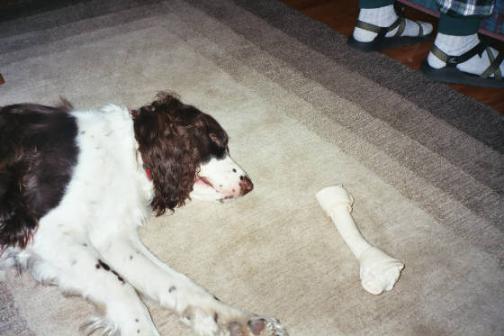 011_9.jpg