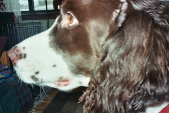 buster2.jpg