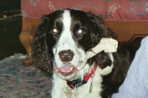 buster.jpg